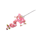 Cherry Blossom Large Branch
