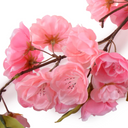 Cherry Blossom Large Branch