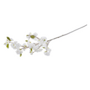 Cherry Blossom Large Branch