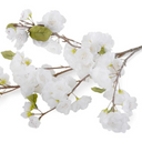 Cherry Blossom Large Branch