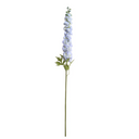 Delphinium flower stem