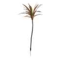Dracaena Marginata Branch