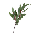 Eucalyptus seeded greenery spray