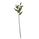 Eucalyptus seeded greenery spray