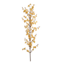 Forsythia Flower Branch