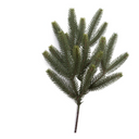 Fraser Fir Spray