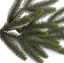 Fraser Fir Spray