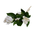 Gardenia Flower Spray