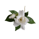 Gardenia Flower Spray