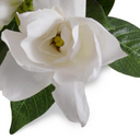 Gardenia Flower Spray