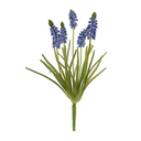 Grape Hyacinth Spray