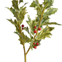 Holly Branch w/Red Berries