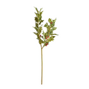 Holly Branch w/Red Berries