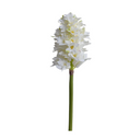 Hyacinth Stem