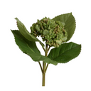 Hydrangea Bud Stem with Leaf