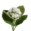 Hydrangea Bud Stem with Leaf