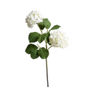 Hydrangea Spray
