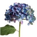Hydrangea Stem with Leaf