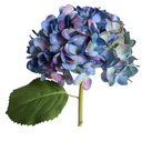 Hydrangea Stem with Leaf