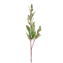 Laurel Leaf Spray