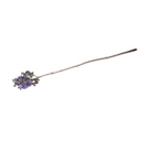 Lilac Branch