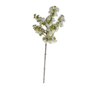 Lilac Branch