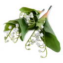 Lily of the Valley Spray