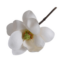 Magnolia Blossom stem
