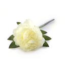 Peony Stem with Leaves