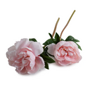 Peony Stem with Leaves