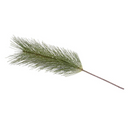 Pine Spray