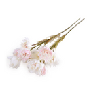 Protea Flower Stem