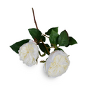 Rose double flower stem