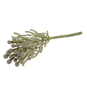 Silver Brunia Pick