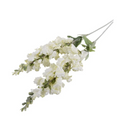 Snapdragon Spray
