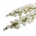 Snapdragon Spray