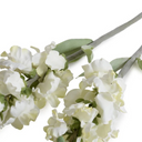 Snapdragon Stem
