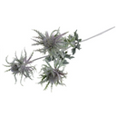 Thistle Spray