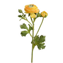 Ranunculus Spray