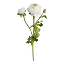 Ranunculus Spray