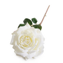 Rose "Dutchess" Stem