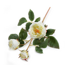 Rose Bud Stem