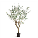 Olive Tree | Grand | 6' | Floor Model