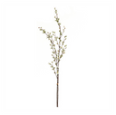 QUINCE BLOSSOM BRANCHES 48"