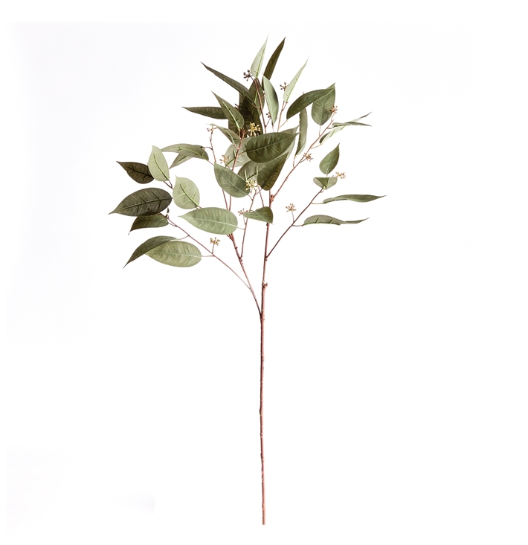 EUCALYPTUS SEED STEM 41"