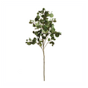 ASPEN BRANCH 51"