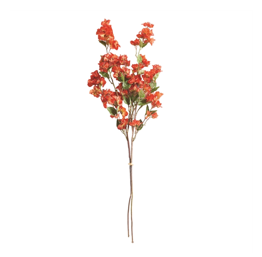 BOUGAINVILLEA STEMS 54"