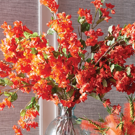 BOUGAINVILLEA STEMS 54"