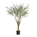 Olive Tree | Grand | 8' | Floor Model