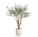 Olive Tree | Grand | 8' | Floor Model